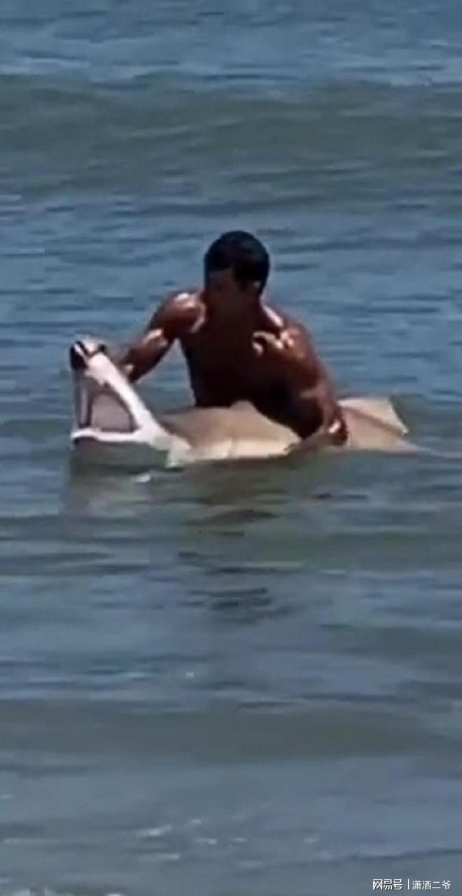在德拉華州的海邊，一名男子，赤手空拳抓住鯊魚，簡直是發了瘋了